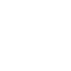 LEGAL OPINION SERVICES