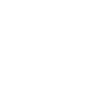 EXECUTIVE SERVICES
